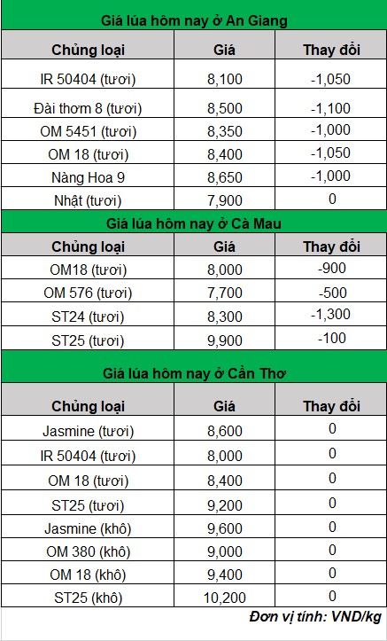 giá lúa gạo hôm nay 22-2-2024_1708584138.png